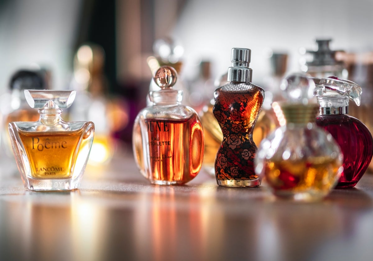 Que perfume regalar a una mujer joven clearance